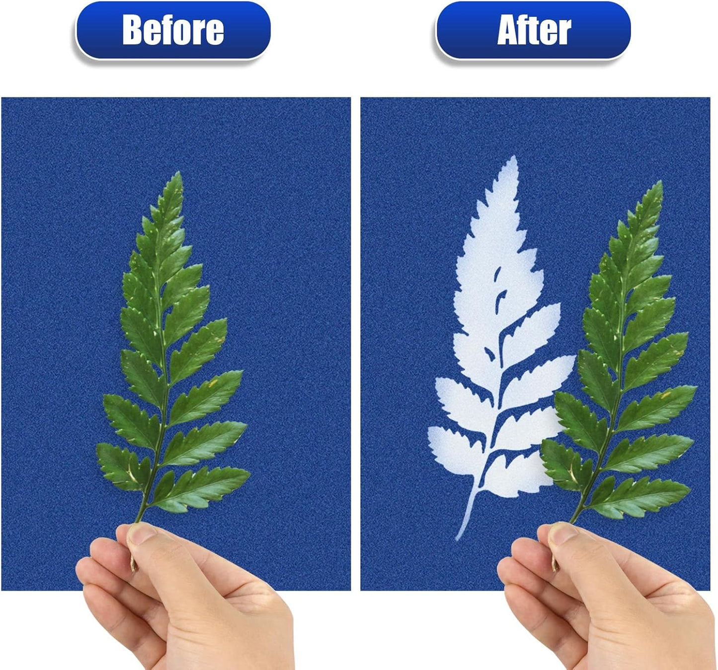 24-Sheet Cyanotype Sun Print Paper Kit with Acrylic Plate