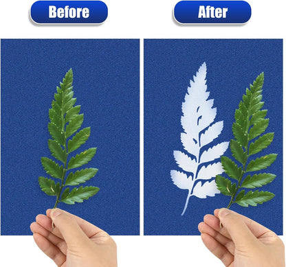 24-Sheet Cyanotype Sun Print Paper Kit with Acrylic Plate